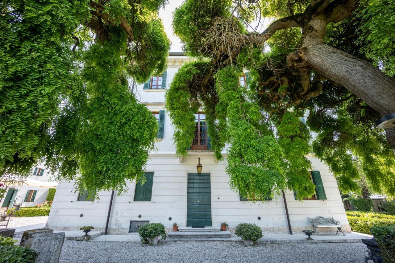 Villa Nichesola 콜로니아 아이 콜리 외부 사진